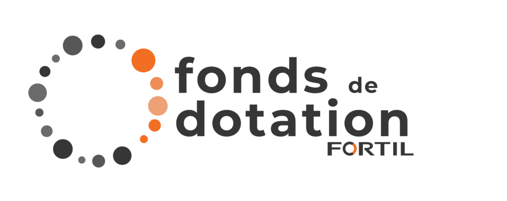 LOGO FDD_gris